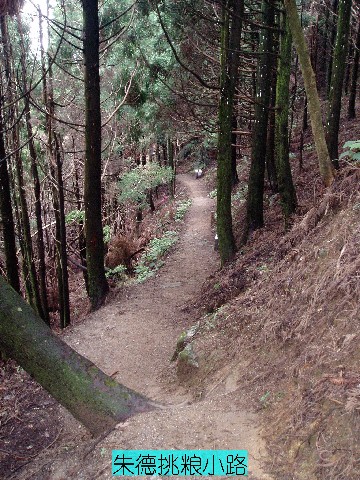 点击新窗口翻开大图