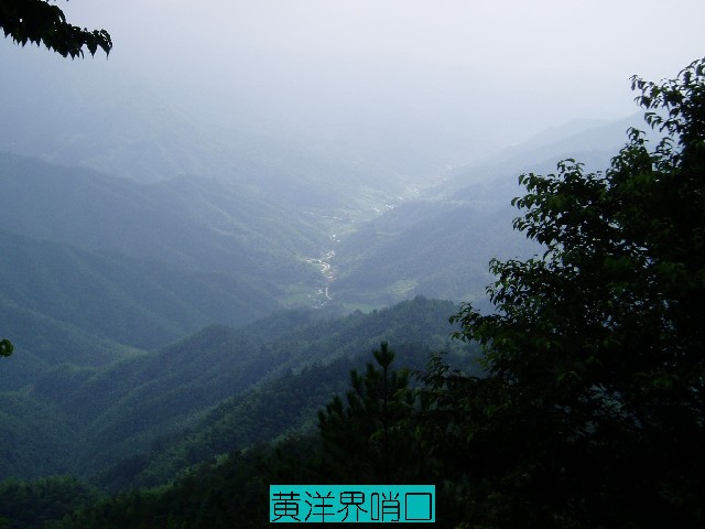 点击新窗口翻开大图