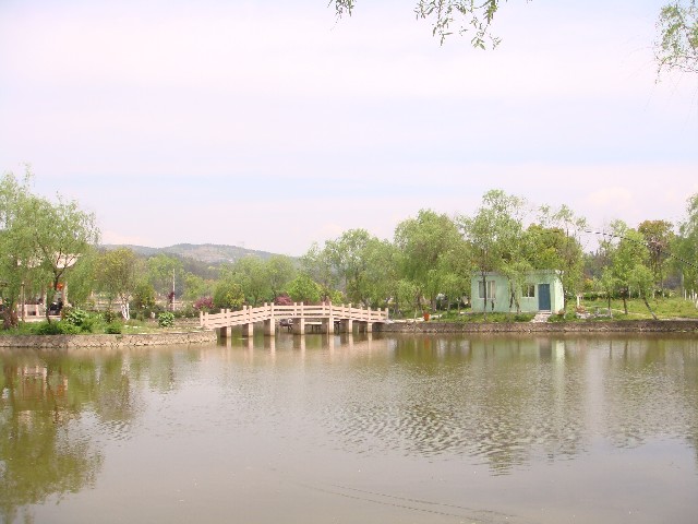 ����´��ڷ�����ͼ