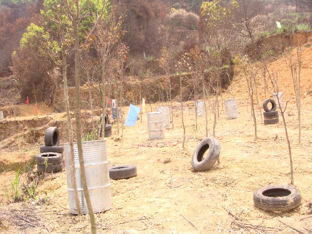 ����´��ڷ�����ͼ