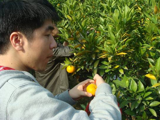 ����´��ڷ�����ͼ