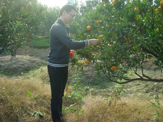 ����´��ڷ�����ͼ