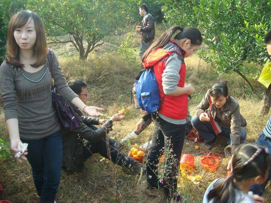 ����´��ڷ�����ͼ