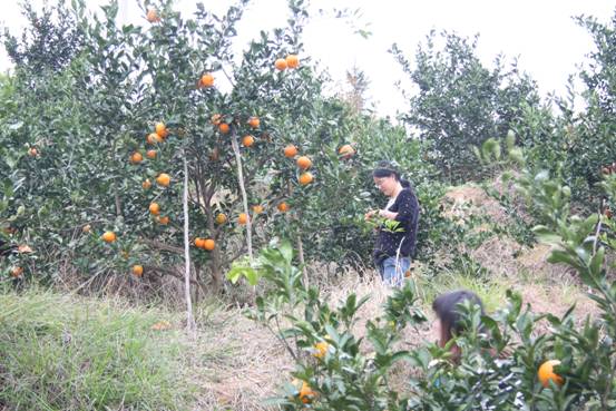 ����´��ڷ�����ͼ