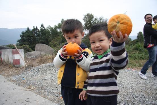 ����´��ڷ�����ͼ