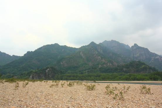 ����´��ڷ�����ͼ